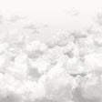Galerie 26784 Clouds Silver Grey Mural