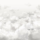 Galerie 26784 Clouds Silver Grey Mural