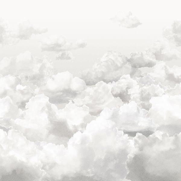 Galerie 26784 Clouds Silver Grey Mural