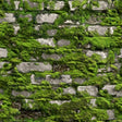 Galerie 45731 Stone optic Green Wallpaper