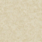 Galerie AM22009-1 Metallic Plaster Beige Wallpaper