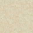 Galerie AM22009-1 Elegance Metallic Plaster Beige Wallpaper AM22009-1 Beige Wallpaper