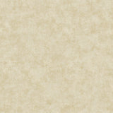 Galerie AM22009-1 Elegance Metallic Plaster Beige Wallpaper AM22009-1 Beige Wallpaper