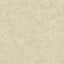 Galerie AM22009-1 Elegance Metallic Plaster Beige Wallpaper AM22009-1 Beige Wallpaper