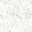 Galerie BB51164 Gentle Beauty Motif Silver Grey Wallpaper