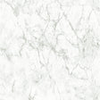 Galerie BB51164 The Bricks And More Gentle Beauty Motif Silver Grey Wallpaper BB51164 Silver Grey Wallpaper