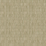 Galerie DWP0362-01 Zen Bamboo Screen Green Wallpaper DWP0362-01 Green Wallpaper