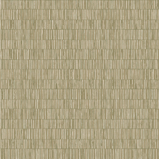Galerie DWP0362-01 Zen Bamboo Screen Green Wallpaper DWP0362-01 Green Wallpaper