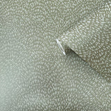 Galerie DWP0363-01 Zen Fan Fleck Green Wallpaper DWP0363-01 Green Wallpaper