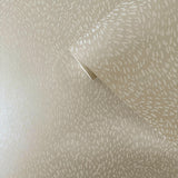 Galerie DWP0363-03 Zen Fan Fleck Cream Wallpaper DWP0363-03 Cream Wallpaper