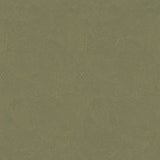 Galerie DWP0366-01 Zen Plaster Fan Gold Wallpaper DWP0366-01 Gold Wallpaper