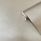 Galerie DWP0366-03 Zen Plaster Fan Beige Wallpaper DWP0366-03 Beige Wallpaper