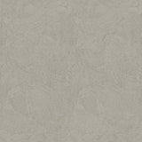 Galerie DWP0366-06 Plaster Fan Silver Grey Wallpaper
