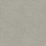 Galerie DWP0366-06 Zen Plaster Fan Silver Grey Wallpaper DWP0366-06 Silver Grey Wallpaper