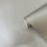 Galerie DWP0366-06 Zen Plaster Fan Silver Grey Wallpaper DWP0366-06 Silver Grey Wallpaper