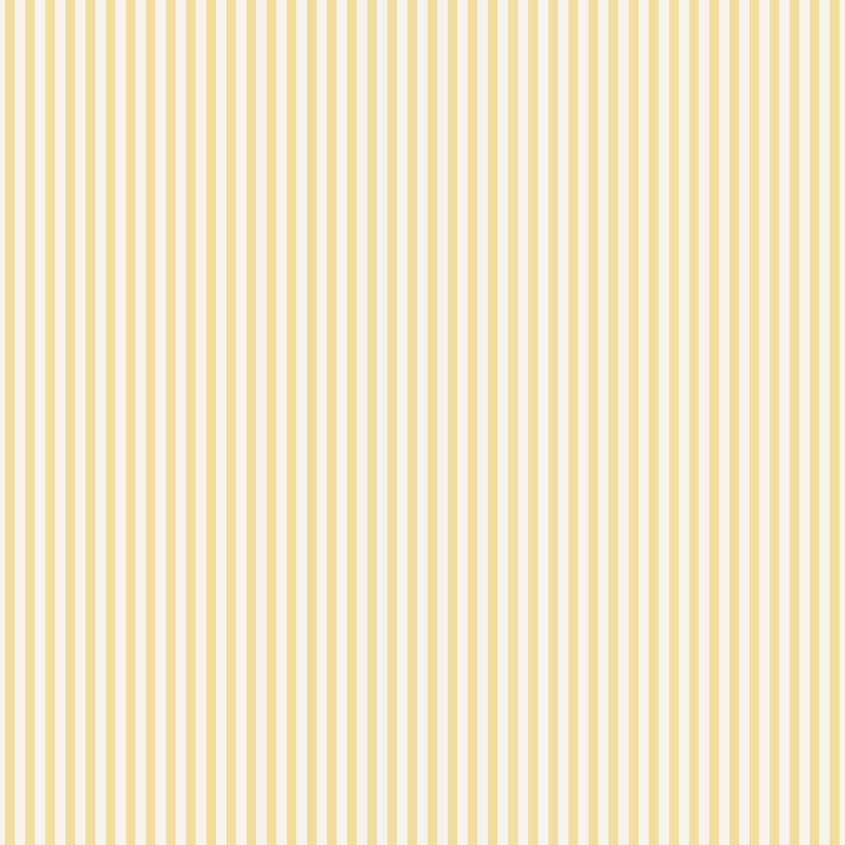 Galerie G68737 Miniatures 3 Shirt Stripe Yellow Wallpaper G68737 Yellow Wallpaper