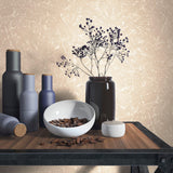 Galerie NT34154 The New Textures Plaster Effect Bronze Brown Wallpaper NT34154 Bronze Brown Wallpaper