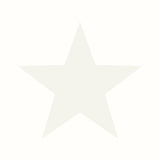 Galerie SS21247 Style Sisters Single Star White Wallpaper SS21247 White Wallpaper