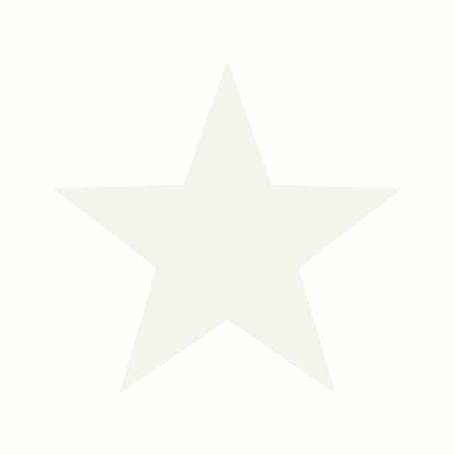 Galerie SS21247 Style Sisters Single Star White Wallpaper SS21247 White Wallpaper
