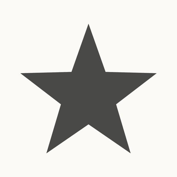 Galerie SS21244 Single Star Black Black Wallpaper