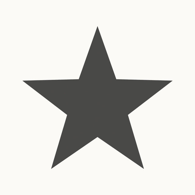 Galerie SS21244 Style Sisters Single Star Black Wallpaper SS21244 Black Wallpaper