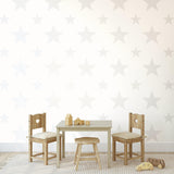 Galerie SS21257 Style Sisters Double Star White Wallpaper SS21257 White Wallpaper