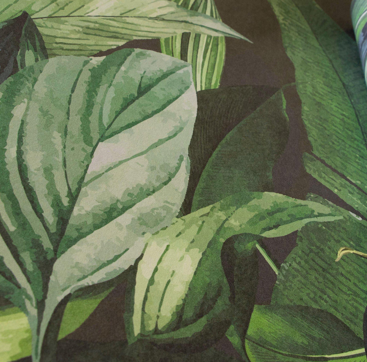 Galerie 18002 Tropical Tropical Forest Green Mural 18002 Green Mural