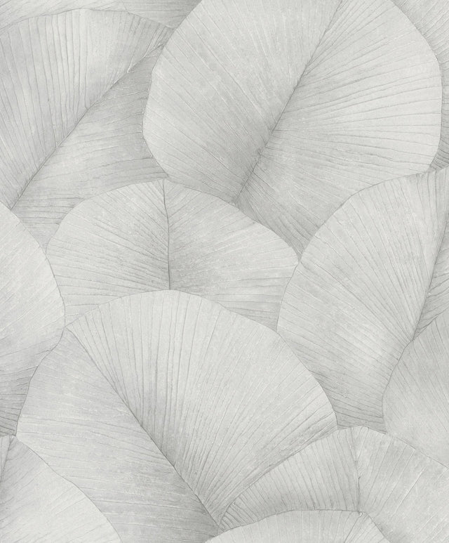 Galerie 34509 Kumano Palm Leaf Silver Grey Wallpaper 34509 Silver Grey Wallpaper