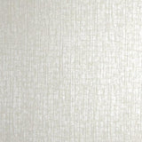 Galerie 64286 Zeus Silver Grey Wallpaper