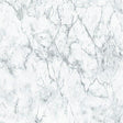 Galerie BB51165 Gentle Beauty Motif Silver Grey Wallpaper