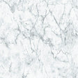 Galerie BB51165 The Bricks And More Gentle Beauty Motif Silver Grey Wallpaper BB51165 Silver Grey Wallpaper
