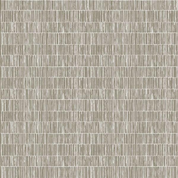 Galerie DWP0362-06 Bamboo Screen Silver Grey Wallpaper