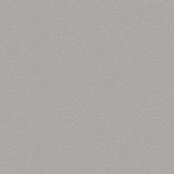 Galerie DWP0363-06 Fan Fleck Silver Grey Wallpaper