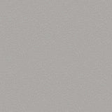 Galerie DWP0363-06 Zen Fan Fleck Silver Grey Wallpaper DWP0363-06 Silver Grey Wallpaper