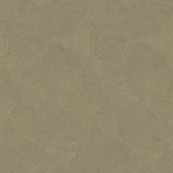 Galerie DWP0366-02 Plaster Fan Gold Wallpaper