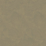 Galerie DWP0366-02 Zen Plaster Fan Gold Wallpaper DWP0366-02 Gold Wallpaper