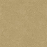 Galerie DWP0366-04 Plaster Fan Gold Wallpaper