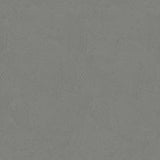 Galerie DWP0366-07 Plaster Fan Silver Grey Wallpaper