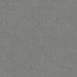 Galerie DWP0366-07 Zen Plaster Fan Silver Grey Wallpaper DWP0366-07 Silver Grey Wallpaper