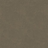 Galerie DWP0366-08 Zen Plaster Fan Rose Gold Wallpaper DWP0366-08 Rose Gold Wallpaper