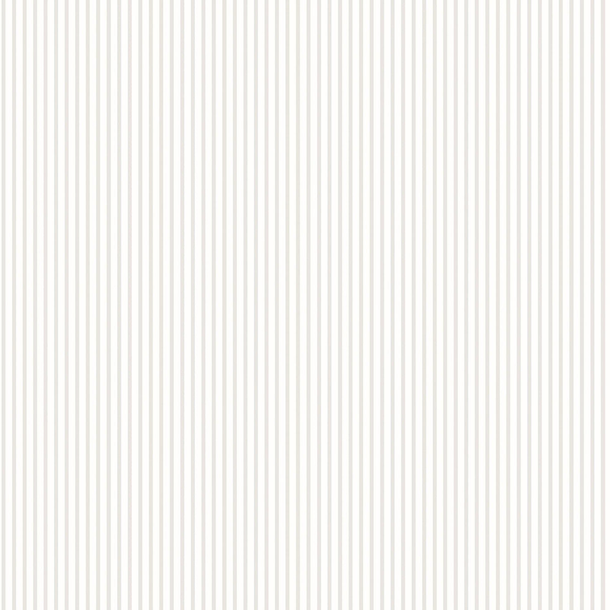 Galerie G56642 Small Prints Candy Stripe Silver Grey Wallpaper G56642 Silver Grey Wallpaper