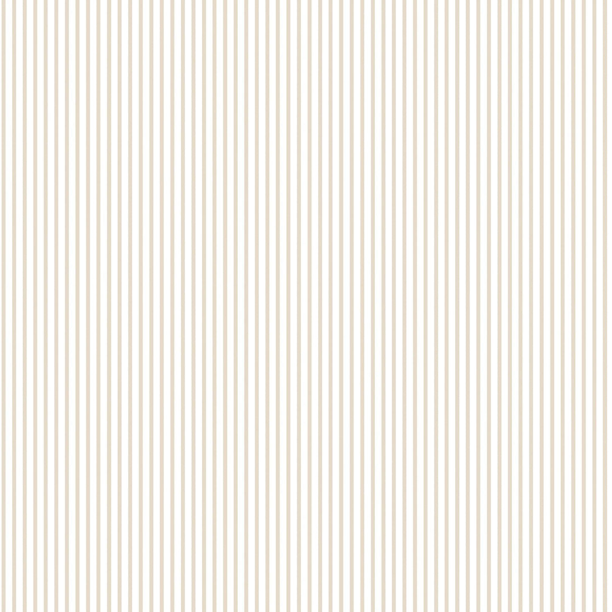 Galerie G56645 Small Prints Candy Stripe Bronze Brown Wallpaper G56645 Bronze Brown Wallpaper