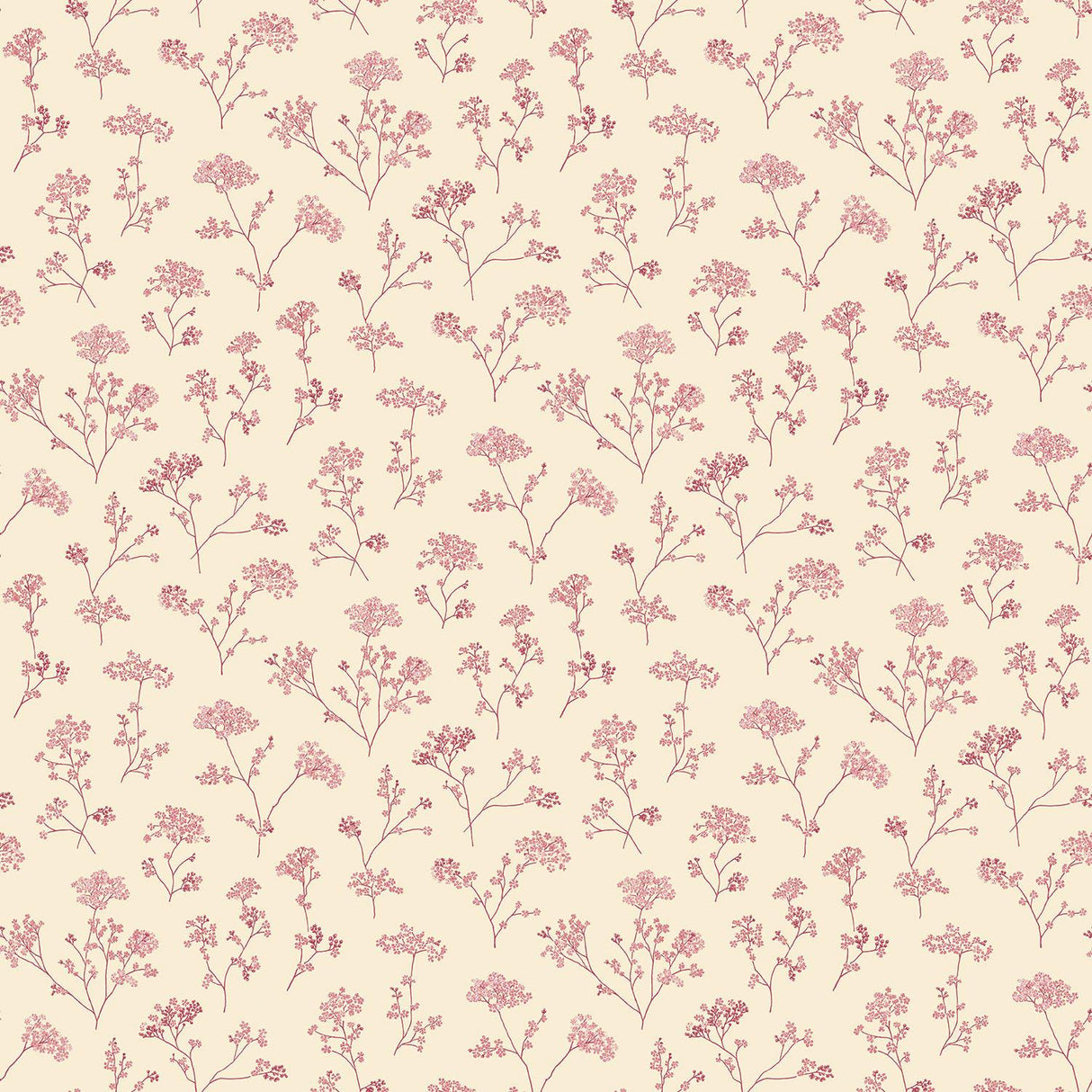 Galerie G67872 Miniatures 2 Cow Parsley Cream Wallpaper G67872 Cream Wallpaper