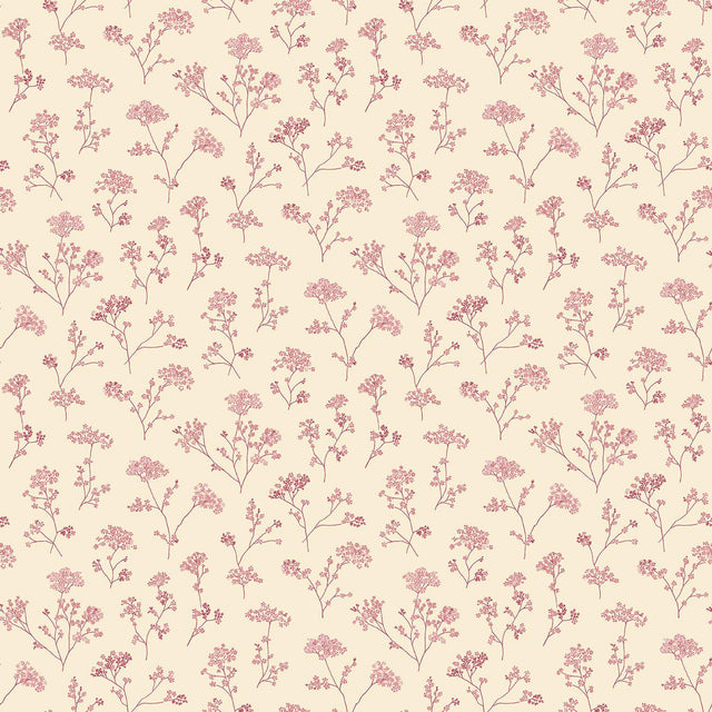 Galerie G67872 Miniatures 2 Cow Parsley Cream Wallpaper G67872 Cream Wallpaper