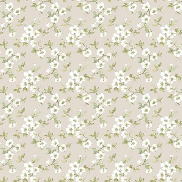 Galerie G78488 Anenome Mini Green Wallpaper