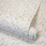 Galerie GH65311-23 Salt Arco Cream Wallpaper GH65311-23 Cream Wallpaper