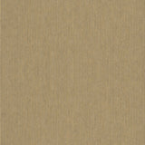 Galerie TE3226523 The New Textures Stripes Gold Wallpaper TE3226523 Gold Wallpaper