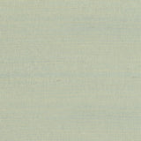 Thibaut Rafia Plain Light Green Wallpaper