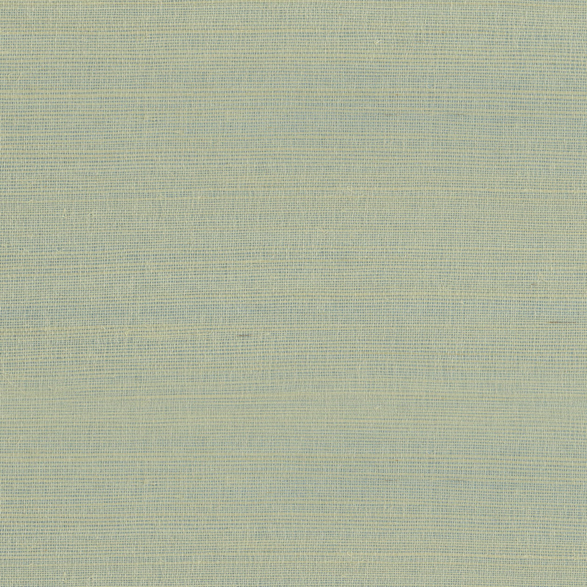 Armani Rafia Plain Light Green Wallpaper