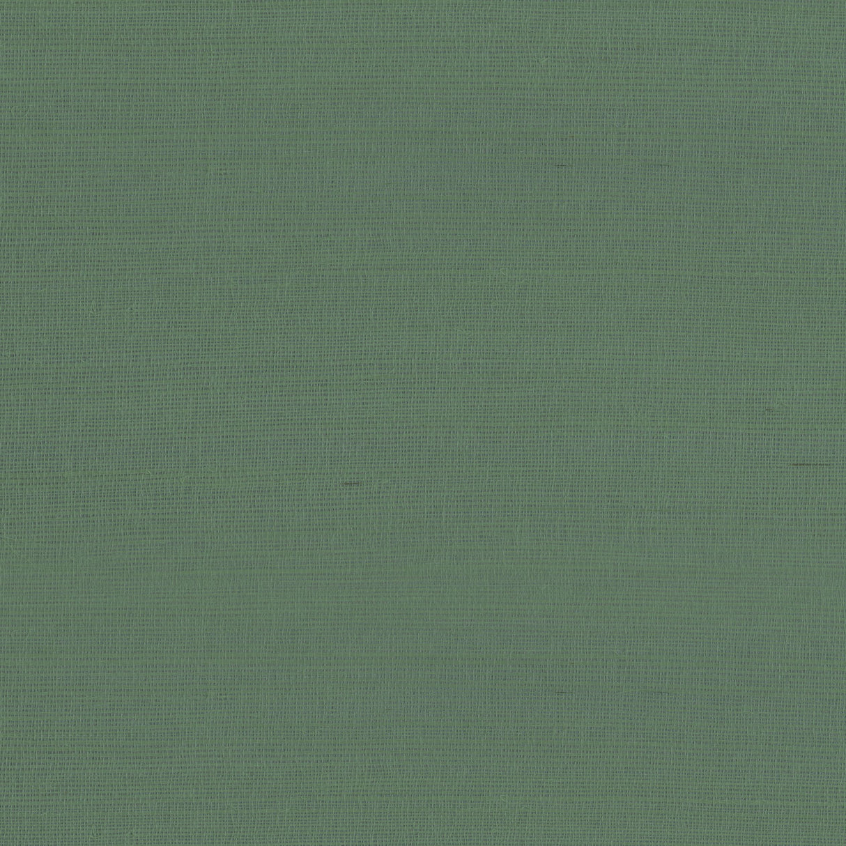 Thibaut Rafia Plain Green Wallpaper